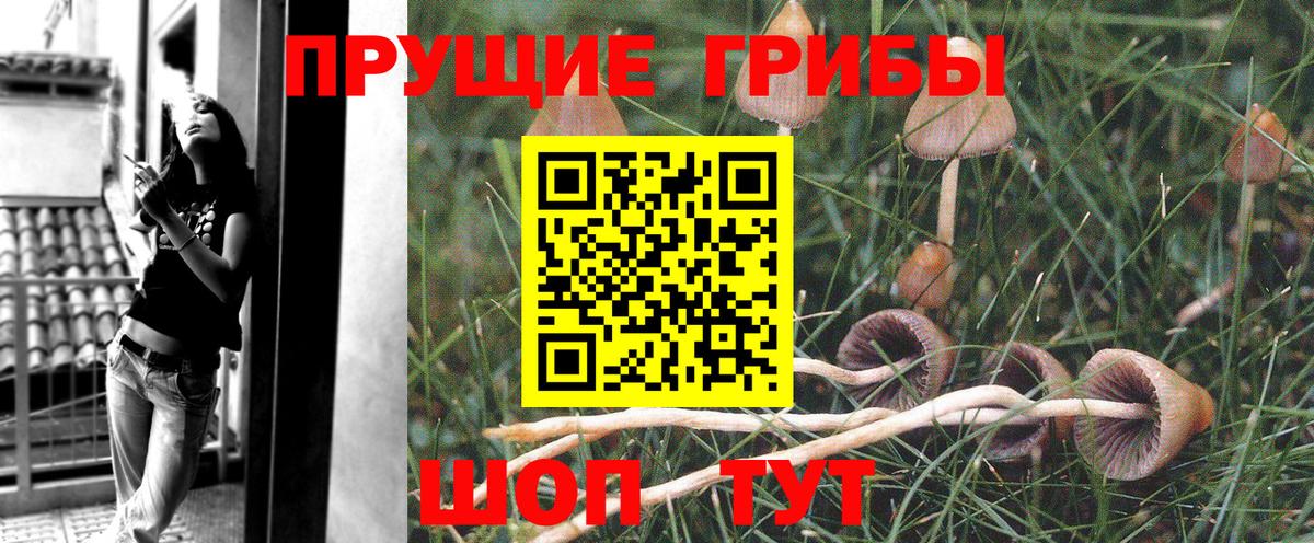 Псилоцибиновые грибы MAGIC MUSHROOMS Унеча
